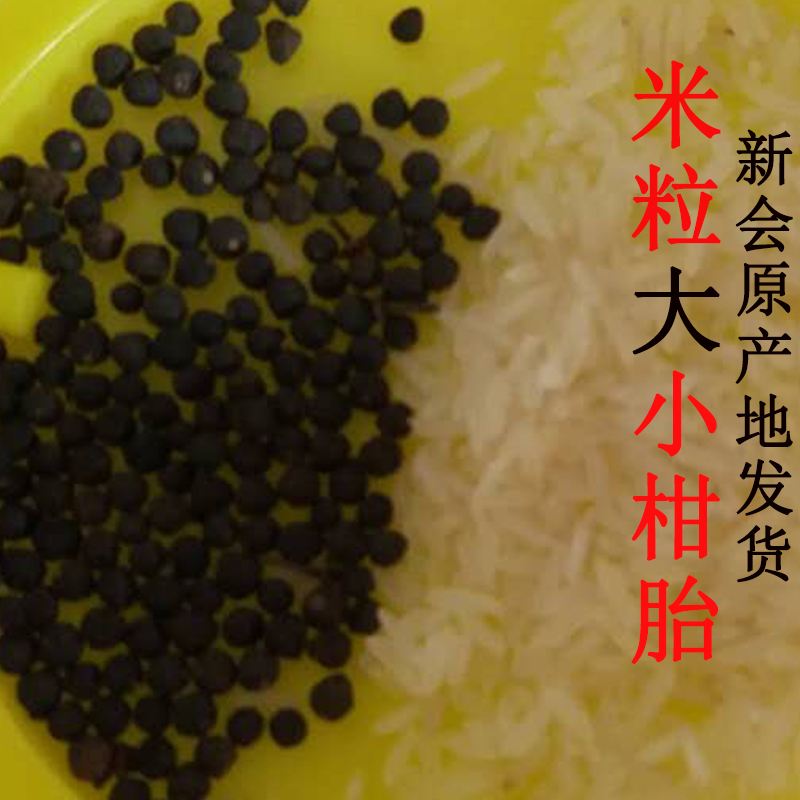 bb树区别 b+树和b树的优缺点 